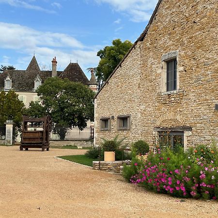 Chateau Du Mauny, Gites Et Chambres D'Hotes En Bourgogne Rosey Eksteriør billede