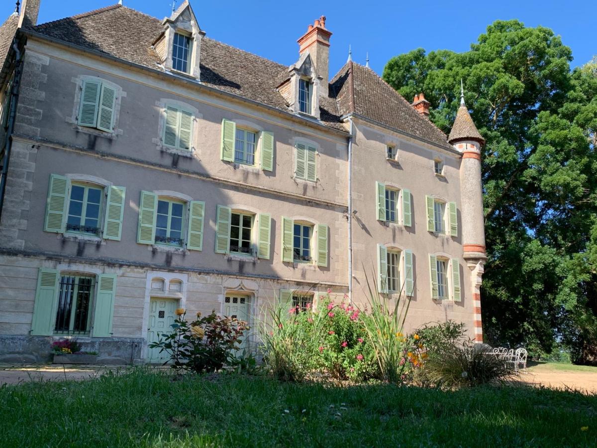 Chateau Du Mauny, Gites Et Chambres D'Hotes En Bourgogne Rosey Eksteriør billede