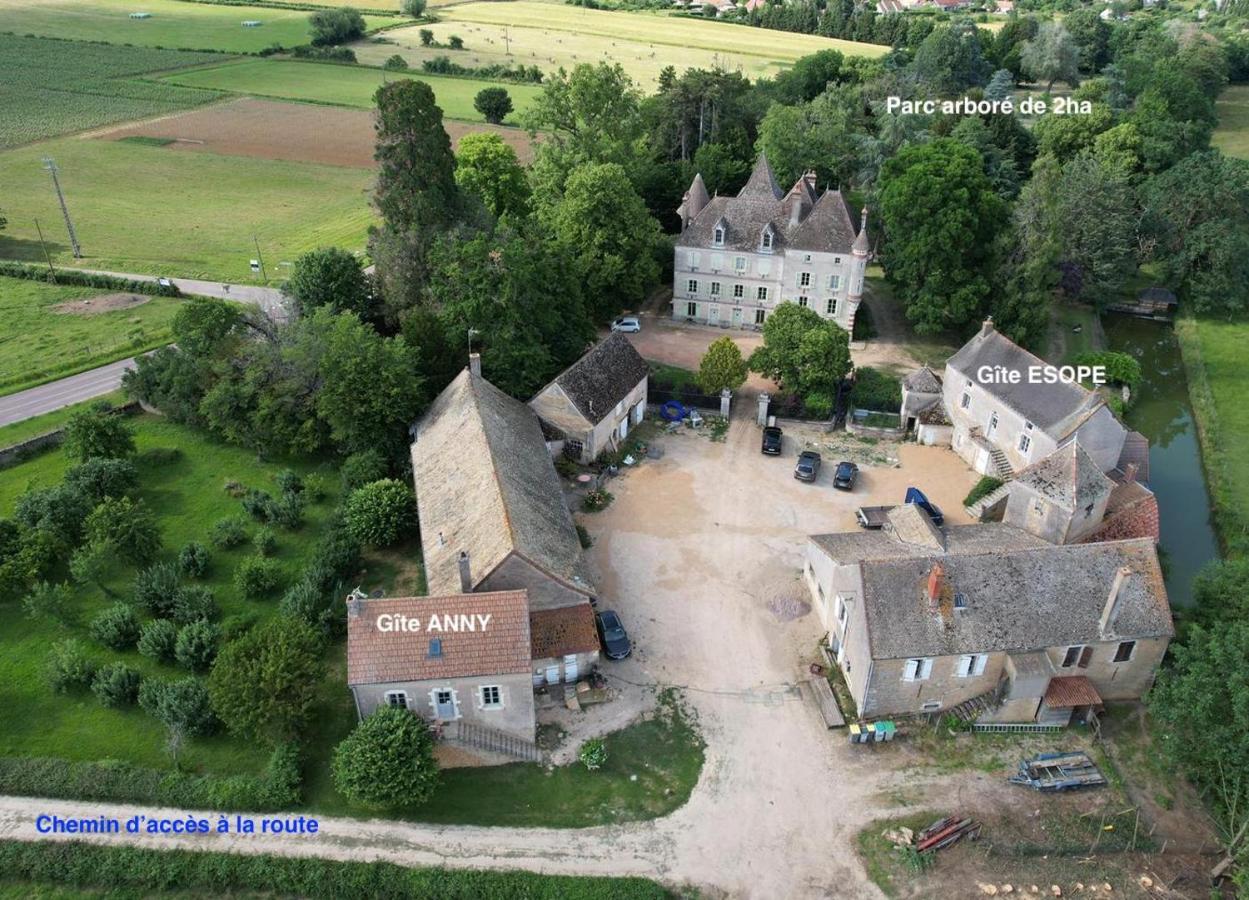 Chateau Du Mauny, Gites Et Chambres D'Hotes En Bourgogne Rosey Eksteriør billede