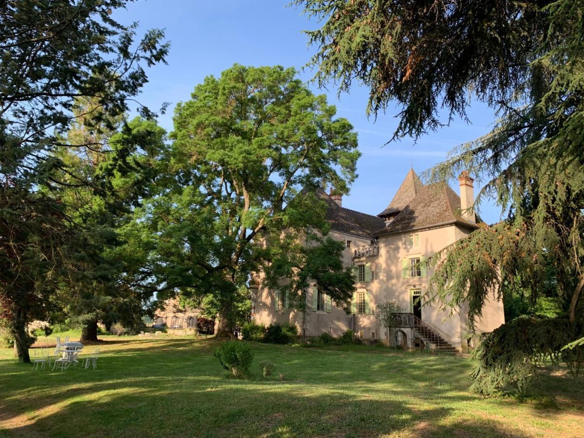 Chateau Du Mauny, Gites Et Chambres D'Hotes En Bourgogne Rosey Eksteriør billede