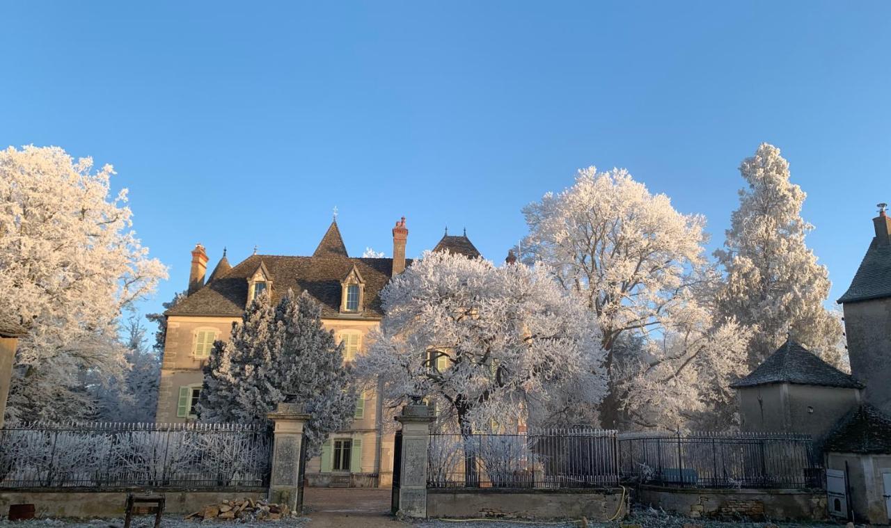 Chateau Du Mauny, Gites Et Chambres D'Hotes En Bourgogne Rosey Eksteriør billede